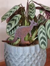 Load image into Gallery viewer, Wombat, Kangaroo & Echidna Pot Plant Stake Set