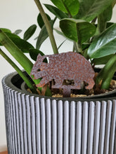 Load image into Gallery viewer, Wombat, Kangaroo & Echidna Pot Plant Stake Set