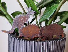 Load image into Gallery viewer, Wombat, Kangaroo & Echidna Pot Plant Stake Set