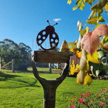 Load image into Gallery viewer, Ladybug Pot Plant Decor