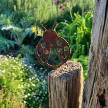 Load image into Gallery viewer, Ladybug Pot Plant Decor