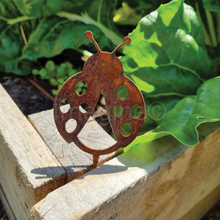 Load image into Gallery viewer, Ladybug Pot Plant Decor
