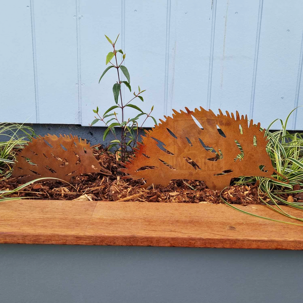 Echidna Garden Stake