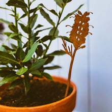 Load image into Gallery viewer, Grevillea Plant Stake
