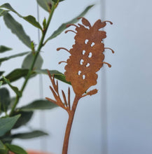 Load image into Gallery viewer, Grevillea Plant Stake
