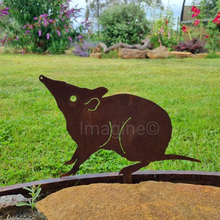 Load image into Gallery viewer, Bandicoot Garden Art
