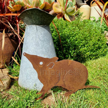 Load image into Gallery viewer, Bandicoot Garden Art
