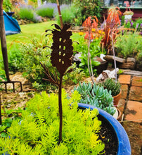 Load image into Gallery viewer, Grevillea Plant Stake
