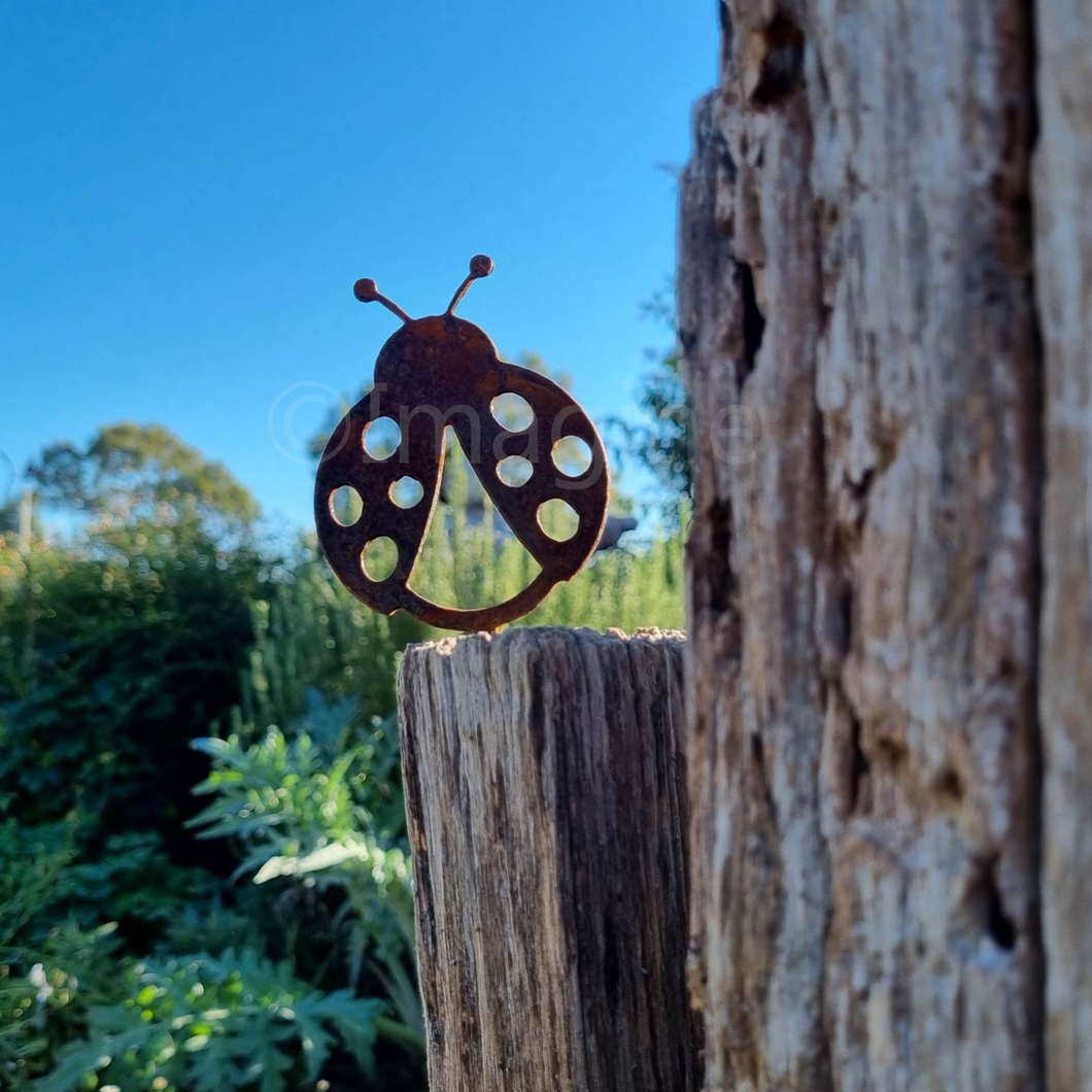 Ladybug Pot Plant Decor