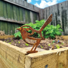 Load image into Gallery viewer, Male Fairy Wren Garden Art
